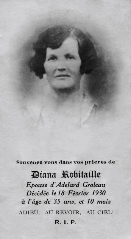 Diana Robitaille